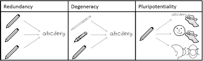 Redundancy and Degeneracy Diagram